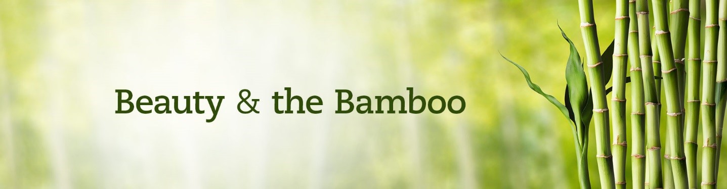 bambus-silizium